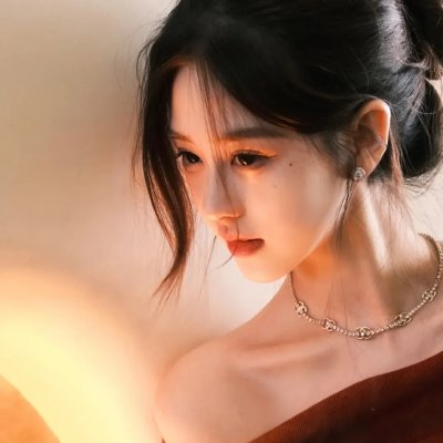 宫崎骏与苍鹭